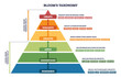 © VectorMine - Bloom s Taxonomy pyramid shows the hierarchy from Remember to Create, with labeled levels, arrows, and color bands illustrating growth in thinking skills. Outline diagram