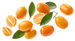 © Anisur - Sliced and whole kumquats with leaves on black fruit slices green isolated on a transparent background