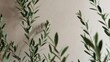 © mila103 - Olive branches reaching upward against beige interior wall
