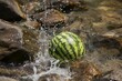 © Lumina Masterpieces - Fresh watermelon cooling in a rocky stream with splashing water on a sunny day