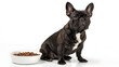 © MDMAHFUZULALAM - A French bulldog sitting next to a bowl of dog food on a white background