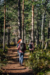 © Ljustina - Group of hikers walking forest trail with trekking poles