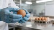 © Tina - A person in a white lab coat and blue gloves holds a brown egg in a kitchen setting. Egg cartons are visible in the background.