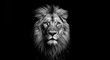 © AkuAku - bold black and white image of a lion on a dark black background