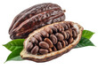 © Seek - Cocoa pods with beans and leaves green isolated on a transparent background
