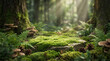 © terdevil23 - Mossy rock podium on forest floor with sunlight rays.