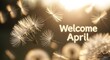 © Miratus - Soft dandelion seeds floating in golden sunlight with welcome april text overlay