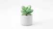 © Nguyen Tuan - 3D succulent plant in white pot icon, minimalist interior decor and nature symbol for environmental and lifestyle web design projects
