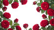 © anna - Red roses and leaves flowers green isolated on a transparent background