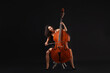 © New Africa - Woman playing double bass on black background