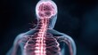 © Stock by Anindya - Medical 3D illustration of human central nervous system with brain and spinal cord