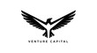 © Nasima - A black eagle illustration soars with outstretched wings above venture capital text.