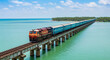 © PRASANNAPIX - Indian Train on Scenic Ocean Bridge with Palm Trees