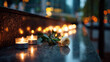 © Anastasiia Havelia - Close-up of several tea light candles flickering in front of a dark granite wall with names, a single white rose lying beside them, Remembrance Day concept, moody evening lighting