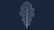 © regulator - Delicate white leaf skeleton against a dark blue background.