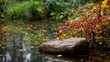 © pham - 庭の石の近くの水に浮かぶ紅葉