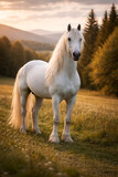 Majestic White Horse Isolated on Black Background with Dramatic Lighting