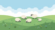 © ocarttt - Flock of Sheep Grazing Peacefully in a Green Pasture.