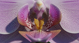 Capturing the delicate elegance of a vibrant pink orchid in full bloom, a perfect tribute to National Orchid Day