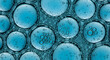 © Loki_Creo - Peptide molecule chain cellular repair skin structure formula amino acid biology science cosmetic medicine research beauty care