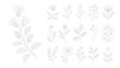 © Digishopppp - A collection of delicate floral illustrations featuring various botanical arrangements showcasing hand drawn line art on a white background high quality professional detailed modern elegant stylish