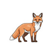 © Ana_designe - Cute Cartoon Fox Standing on White Background Looking Friendly