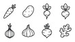 © GoDesigner - Root vegetable line art set carrot potato onion garlic beet ginger and radish illustrations.