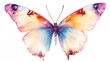 © Sinechana - 64.Elegant hand-painted butterfly with luminous watercolor tones, soft feathered edges, and expressive markings, designed as a versatile decorative element for creative printed materials.