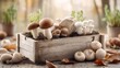 © Putra - Freshly Harvested Mushrooms Displayed in a Wooden Crate on a Rustic Table