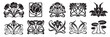 © alvaroc - A set of ornamental decorative element. Floral and nature elements in art nouveau style.