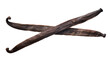 © Niamh - Two dark brown textured aromatic vanilla pods naturally crossed, isolated on transparent background for gourmet cooking and baking