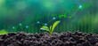 © Wachirapong - Sustainable green business growth and green investment concepts, with updated financial charts and seedlings growing against a sunny background. Growth of money, finance, and investment.