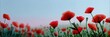 © Ingvar Shelly - peaceful ve-day painting, emotional watercolorink painting for ve-day website header red poppies, distant spitfire, serene atmosphere for text overlay