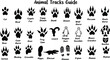 © Ideasy Mind - Animal tracks guide chart, black silhouette animal footprints, wildlife tracking print, educational vector sheet for kids, forest footprint reference poster