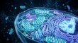 © DhanaStudio - Detailed 3D Visualization of a Eukaryotic Cell Highlighting Organelles and Structures