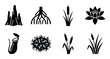 © GoDesigner - Set of eight black silhouettes of swamp and water plants including reeds lotus and pitcher plants