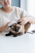 © Charlie's - woman cleaning her cat with a soft cloth at home showing gentle pet care and a warm everyday moment in a cozy domestic lifestyle.