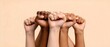 © 肆 小 - Diverse hands raised in unity