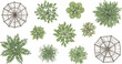 © Federico.com - Top view landscape trees and garden umbrellas, architectural site plan symbols for landscaping design, set of 11 vector plant and patio icons