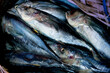 © Dammer - Display freshly caught tuna for sale at a traditional fish market in Bali, Indonesia.