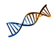 © Diego - Vibrant 3D DNA double helix structure, a genetic code molecule isolated on transparent background, representing biology and science PNG