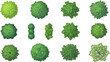 © Jannatul - Top View Vector Illustration Set of Diverse Green Trees and Bushes for Landscaping