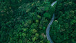 © Hand Robot - Scenic winding road in forest, suitable for green business concepts, climate responsibility, sustainable investment planning, and eco-conscious corporate messaging.