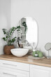 © Pixel-Shot - Sink with bath accessories and green plant on table in light room