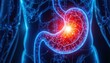 © Ki Design - 3D Rendering of a Human Stomach with Pain Indication, Glowing Red and Orange, Surrounded by the Body's Vascular System in Blue Tones