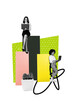© deagreez - Composite trend artwork sketch image photo collage of copyspace platform work office two young lady type laptop development flower pot