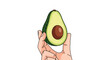 © Mariya - A hand gently holds a single half of a green avocado with its brown pit visible against a clean white background.