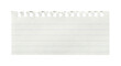 © BTG - Small piece of torn lined notebook paper with ring holes