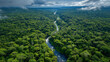 © Suresh Thangavel - An aerial view over the continuous emerald-green canopy of the Amazon rainforest extending to every horizon, the tree canopy forming a textured carpet of infinite variations of green