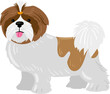 © WinWin - Shih Tzu dog standing showing playful expression cartoon